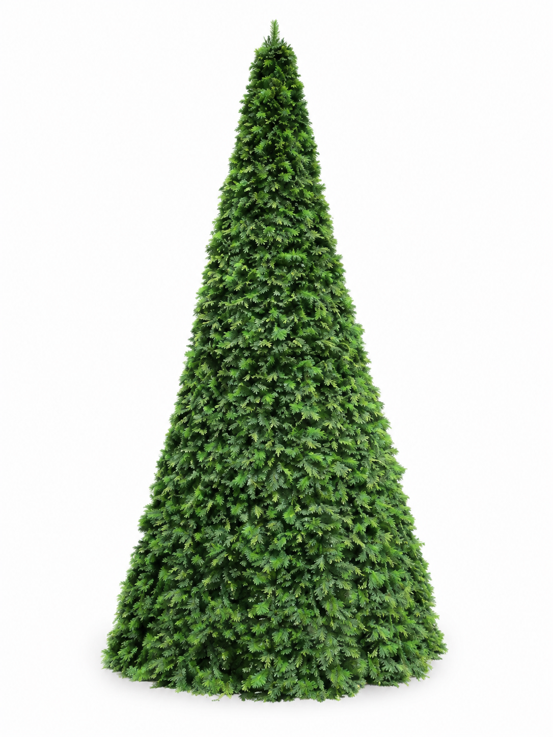 HXT26052-800-CONE