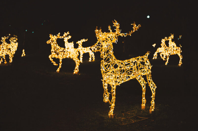 Group of shimmering golden deer light sculptures standing upright during a celebratory evening outdoors